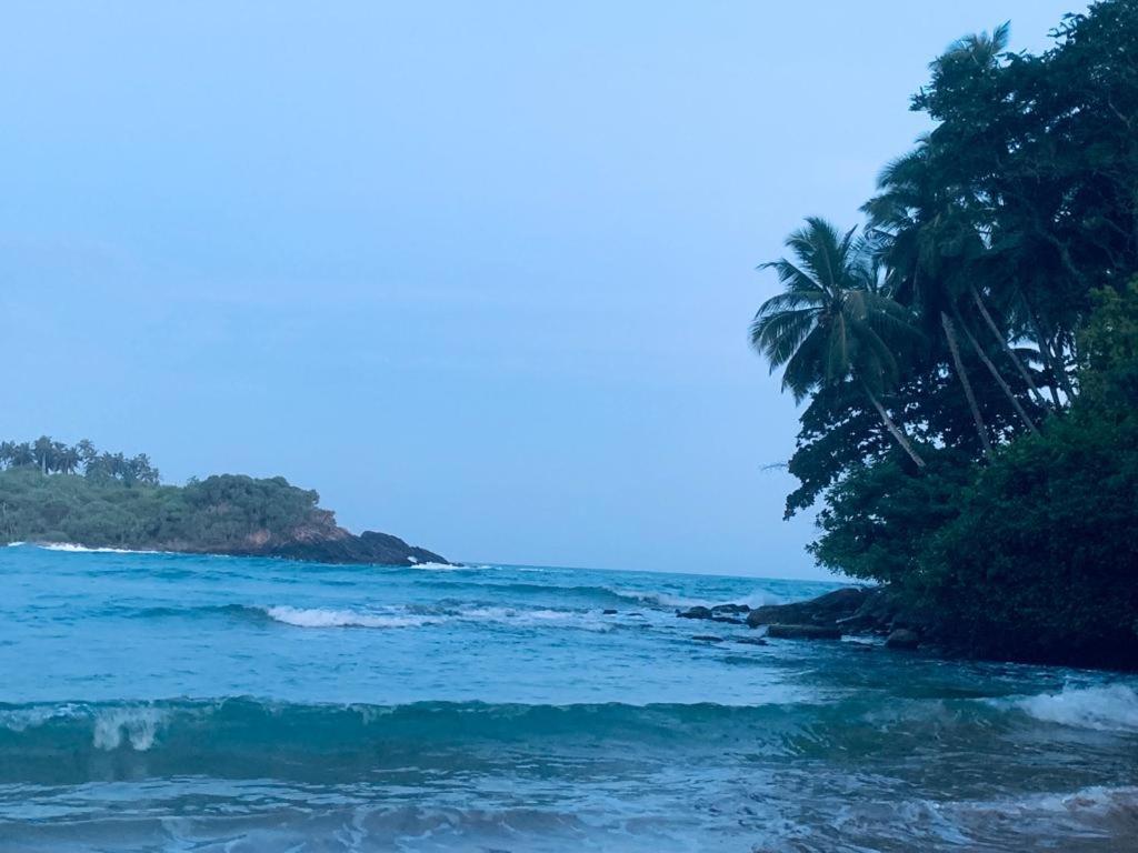 Surf Villa Hiriketiya ماتارا المظهر الخارجي الصورة